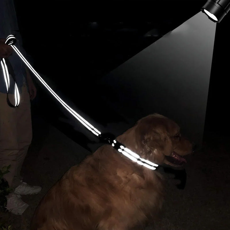 RawPet reflecterende hondenriem