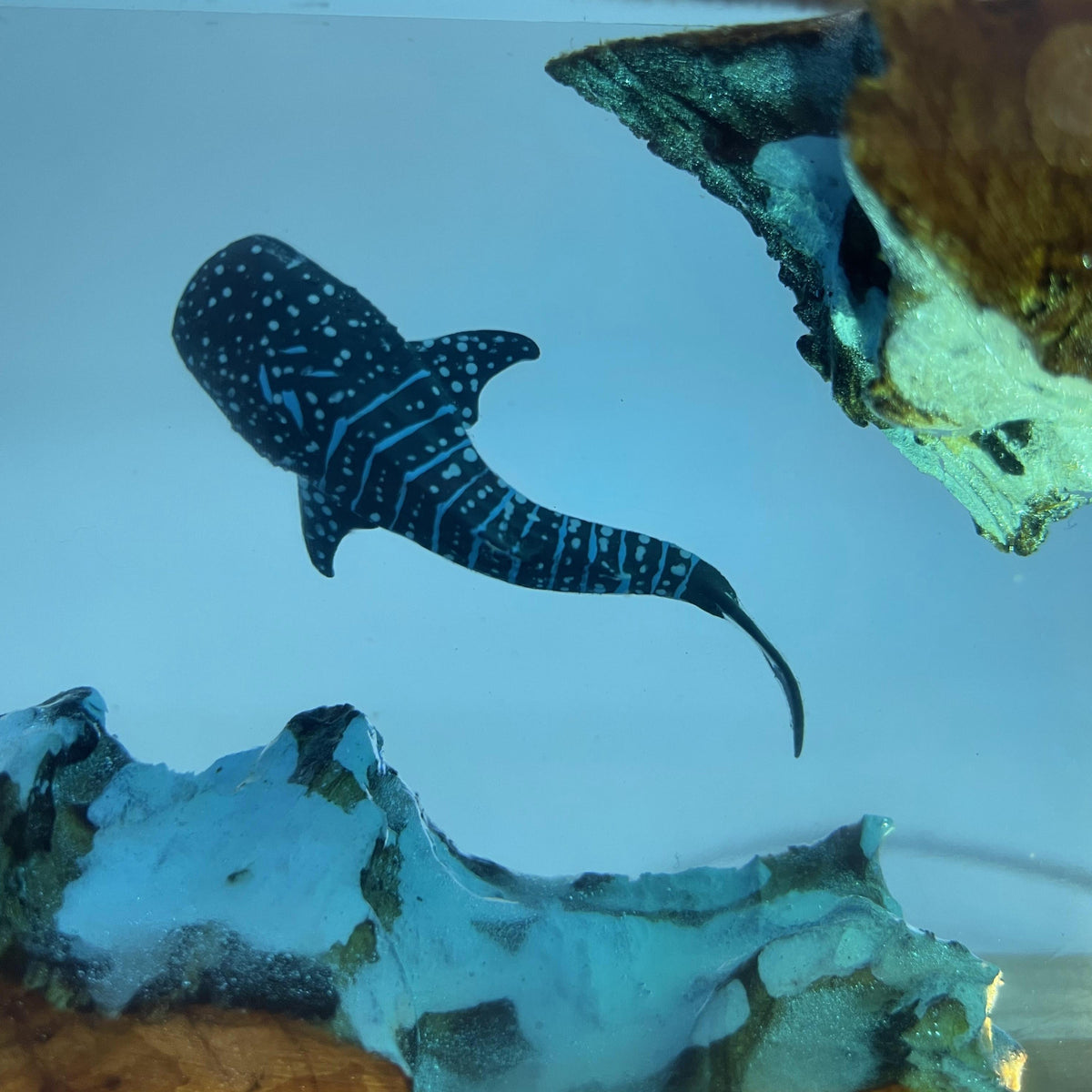 WhaleGlow handgemaakte resin tafellamp