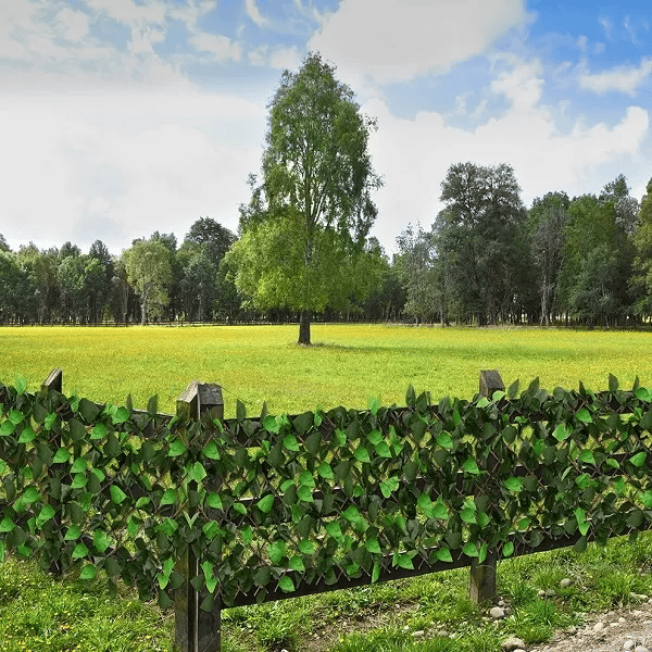 GreenHaven uitschuifbare kunstklimop privacy-schutting