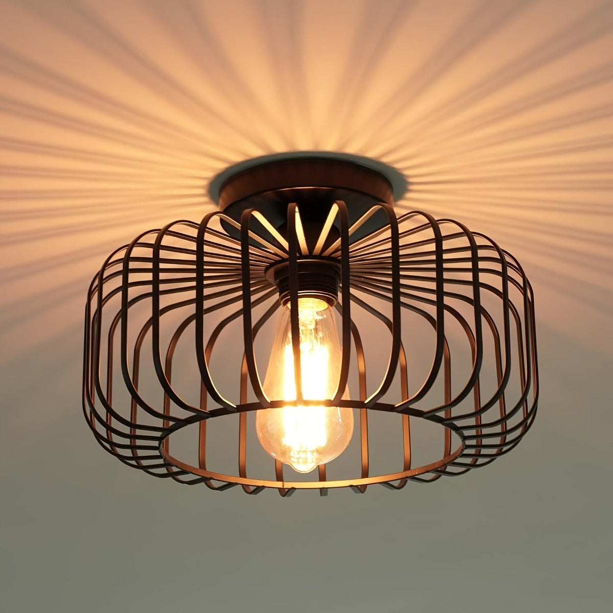 Moderne zwarte metalen plafondlamp