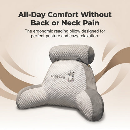 BackWell ergonomisch leeskussen