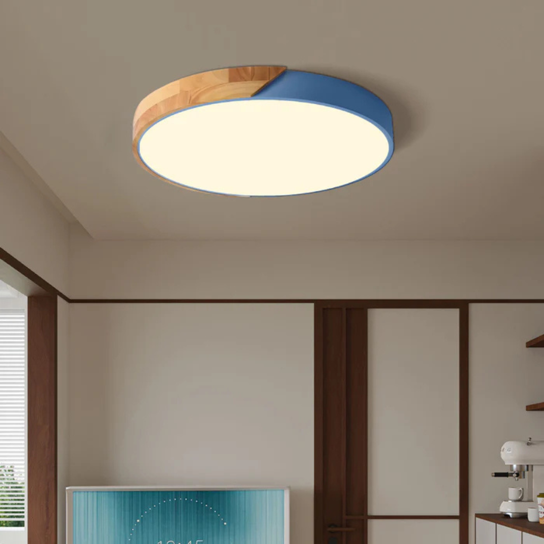 Delos Scandinavische LED-Plafondlamp