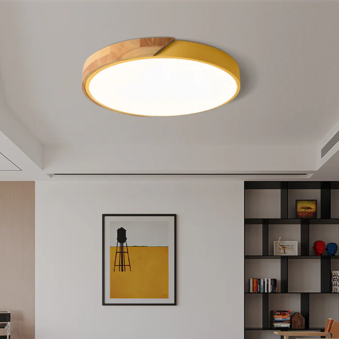 Delos Scandinavische LED-Plafondlamp