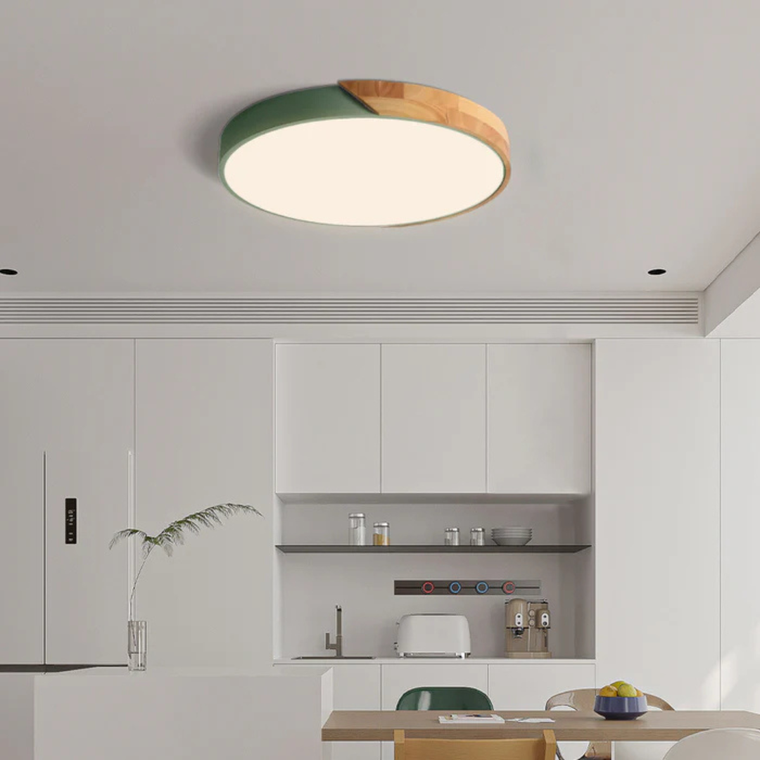 Delos Scandinavische LED-Plafondlamp