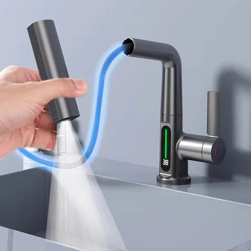 AquaPrestige multifunctionele mengkraan