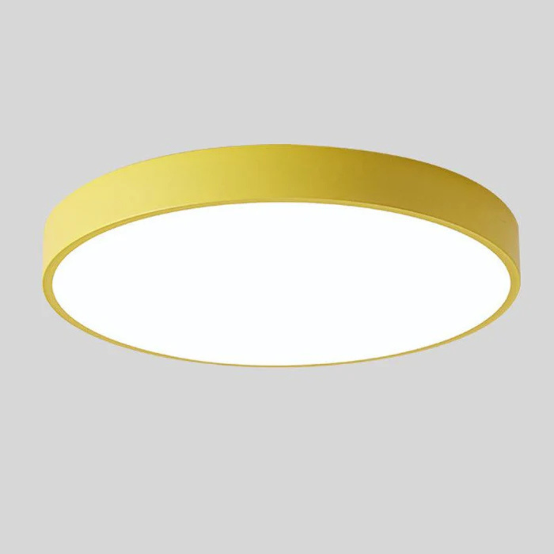 Delos Scandinavische LED-Plafondlamp