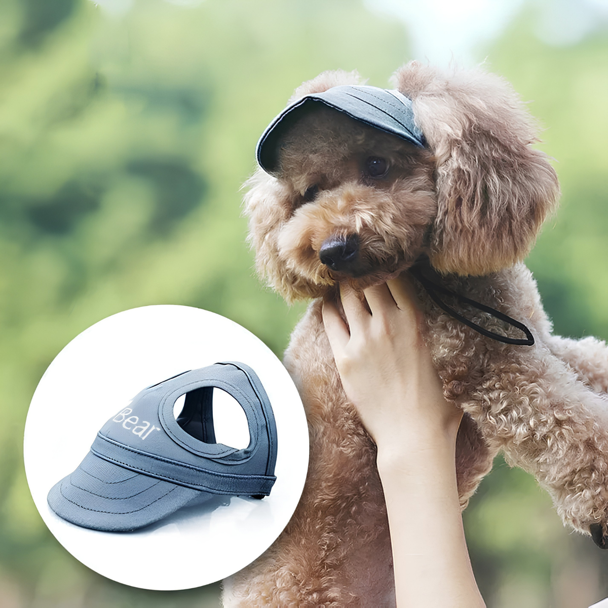 SunPaws UV-beschermende hondenpet
