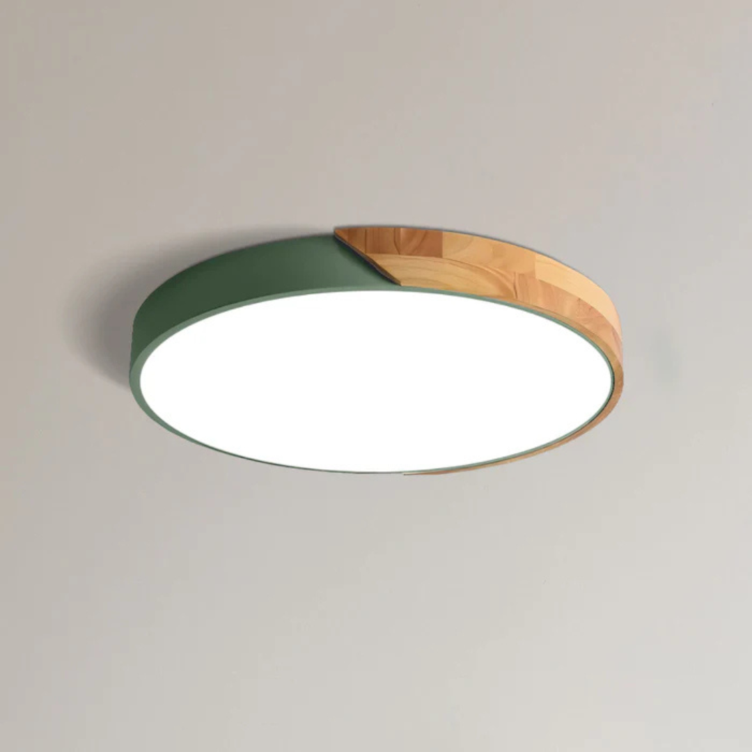Delos Scandinavische LED-Plafondlamp