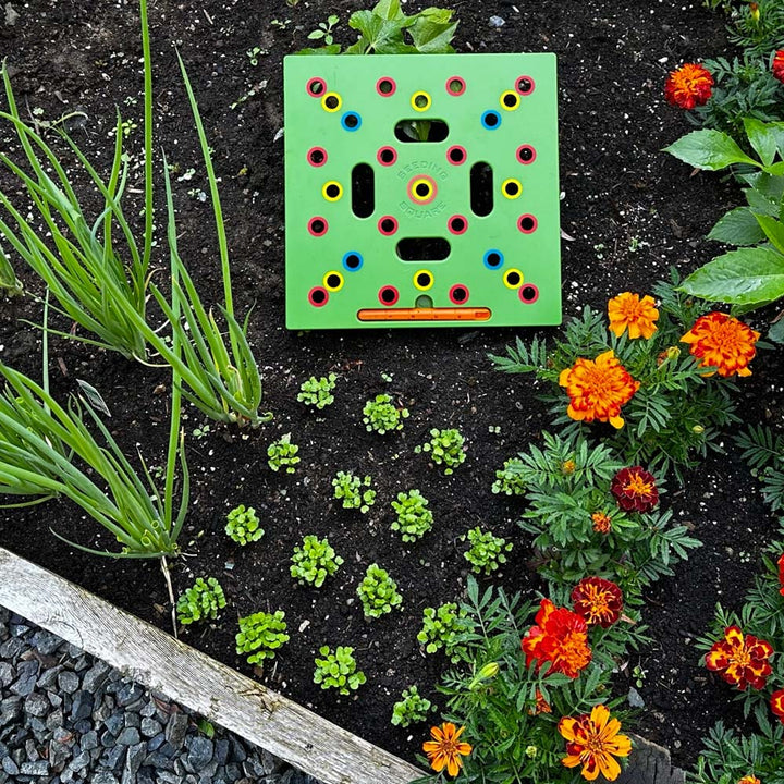 PlantPro zaaihulp plantgids
