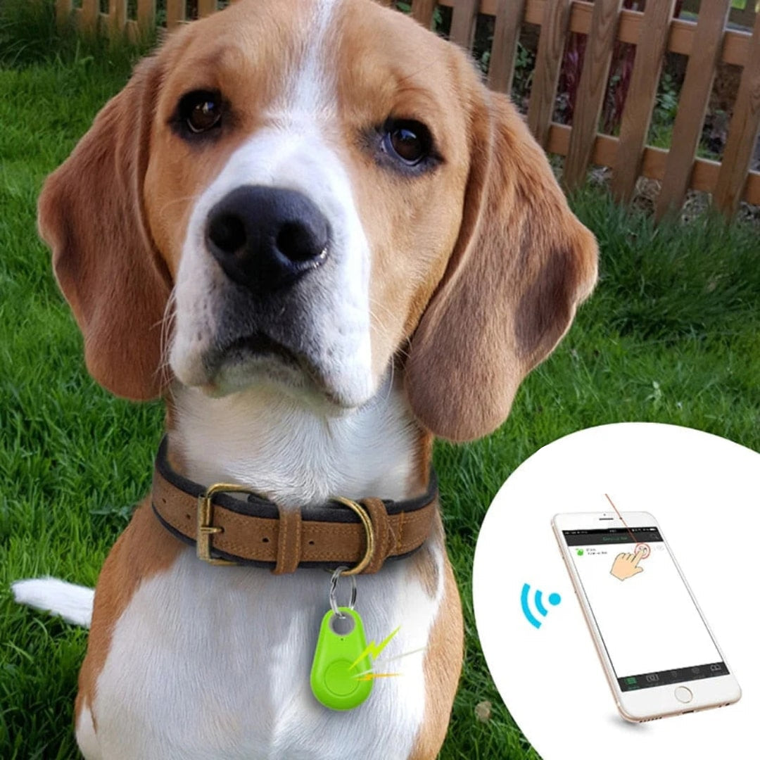 Compacte GPS-tracker voor live tracking