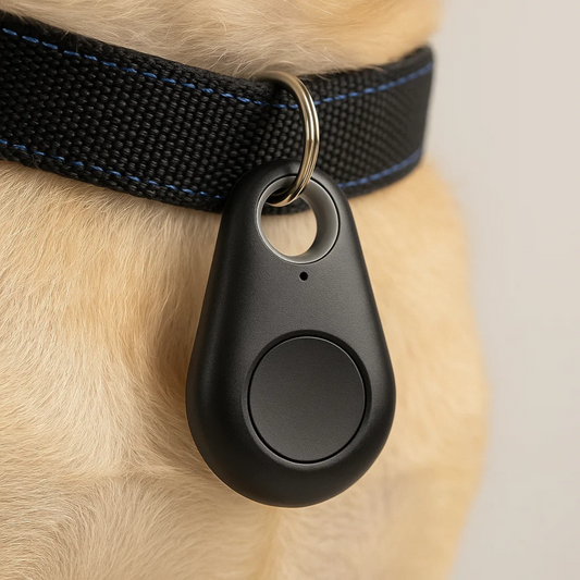Compacte GPS-tracker voor live tracking