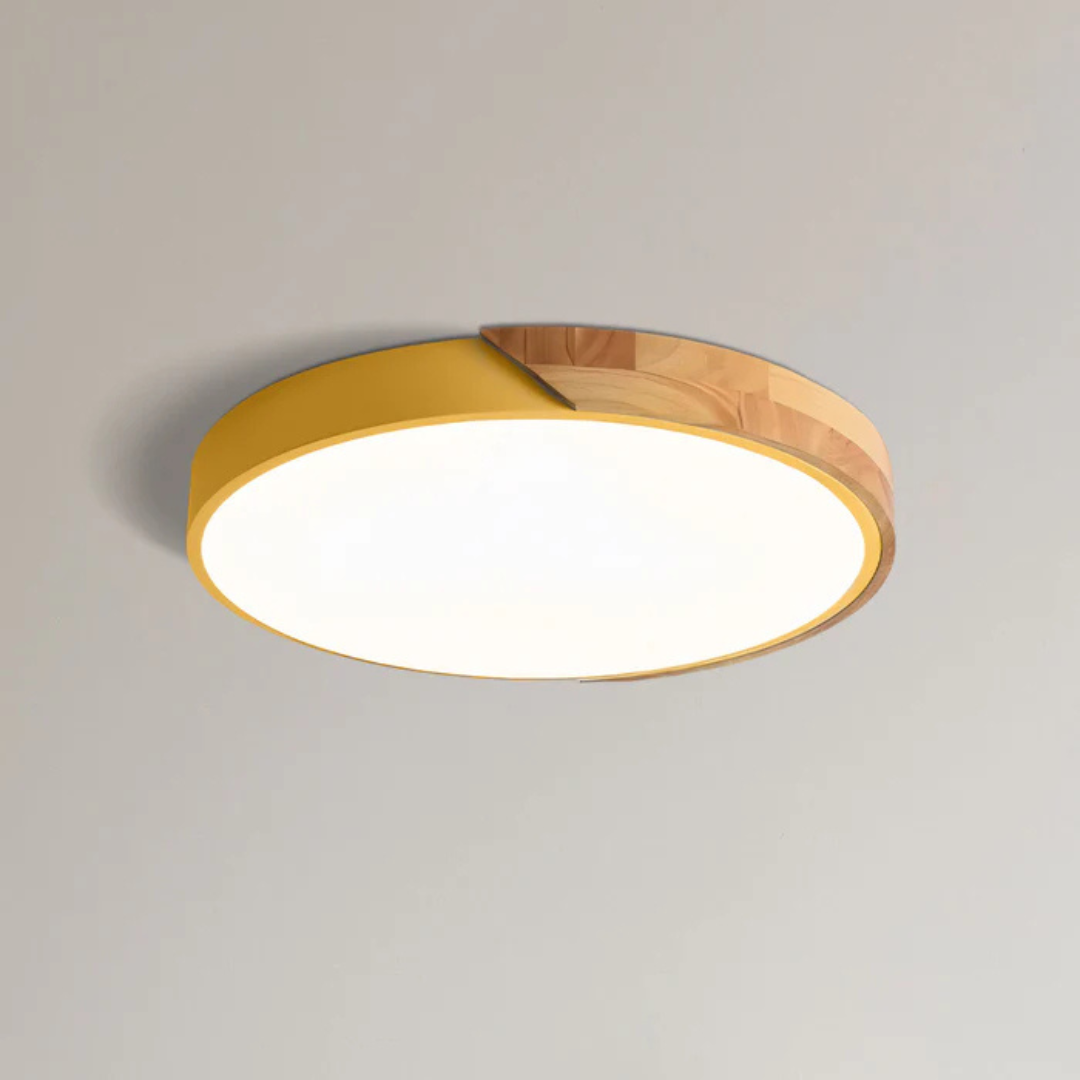 Delos Scandinavische LED-Plafondlamp