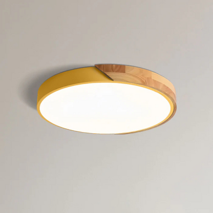 Delos Scandinavische LED-Plafondlamp