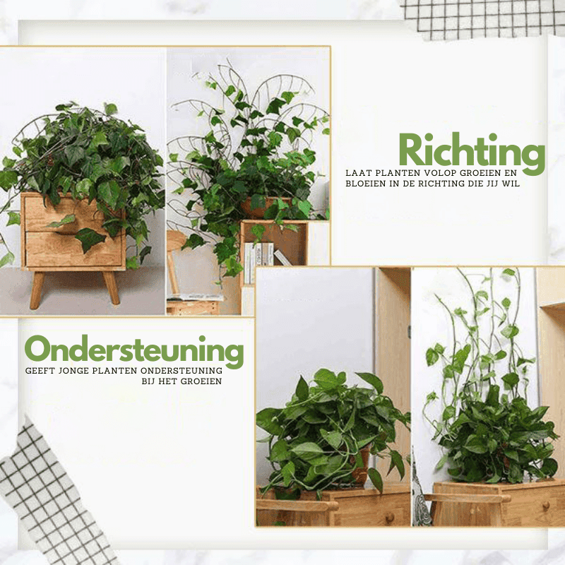 ClimbUp plantgeleider clips