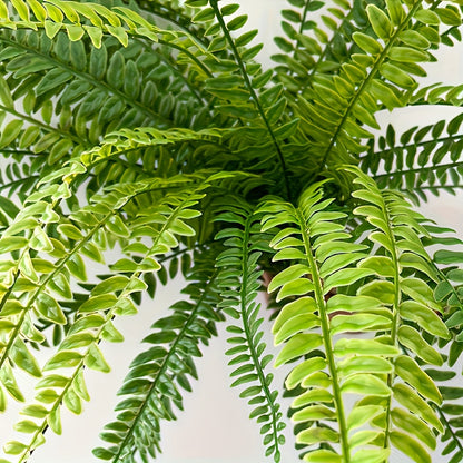 GreenFern Boston kunstmatige varen