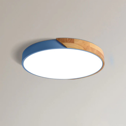 Delos Scandinavische LED-Plafondlamp