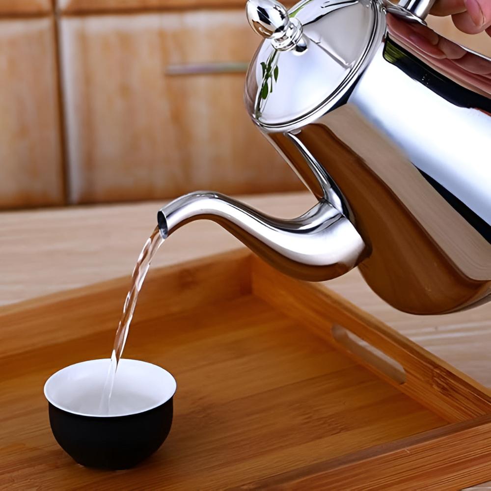 RVS Fluitketel Waterkoker met Ingebouwd Filter