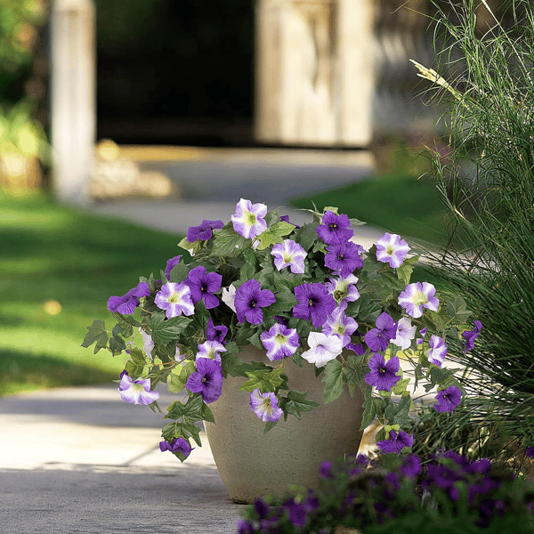 Lifelike kunstpetunia's weerbestendige bloemen