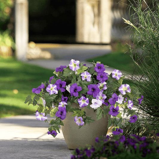 Lifelike kunstpetunia's weerbestendige bloemen