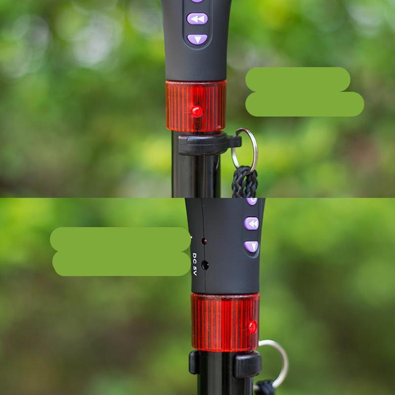 ActiveStride Pro Nordic Walking Stokken