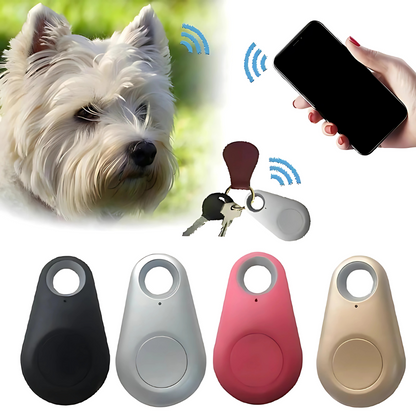 Compacte GPS-tracker voor live tracking