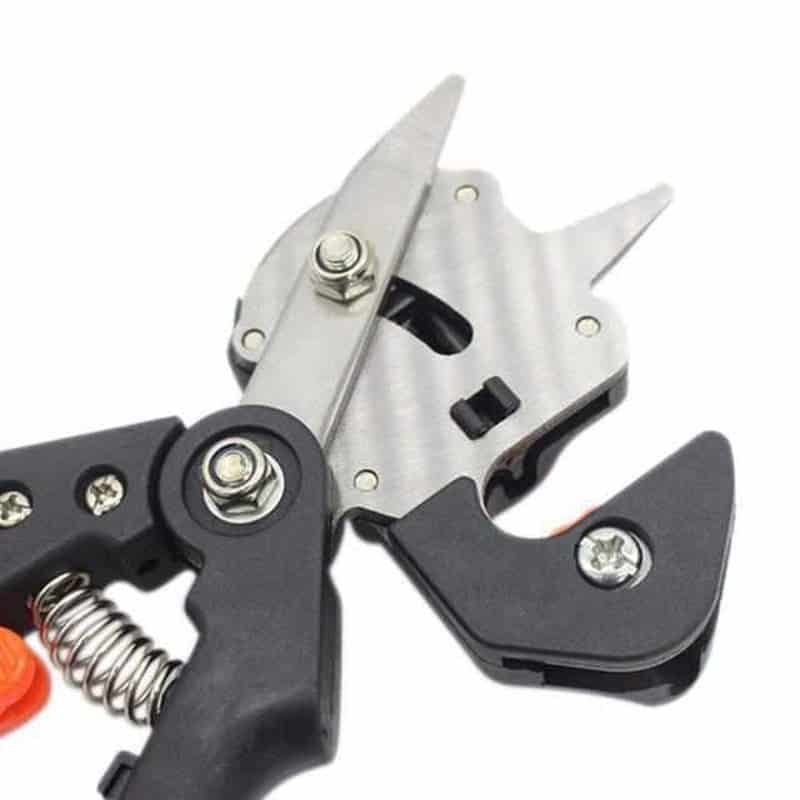 Professionele 2-in-1 ent- en snoeischaar