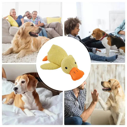 HappyPet duurzaam hondenspeeltje