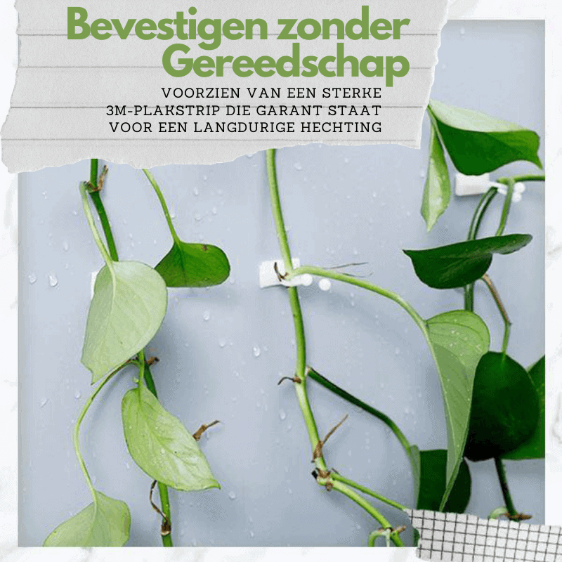 ClimbUp plantgeleider clips