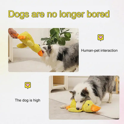 HappyPet duurzaam hondenspeeltje