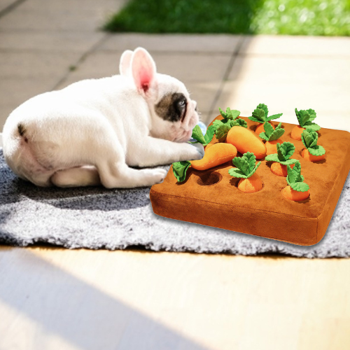 PlayPET wortel pluche hondenspeelgoed