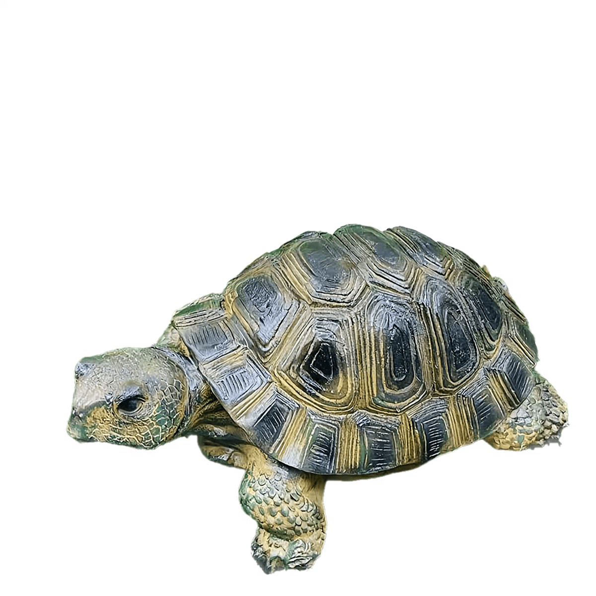 TurtleBloom decoratieve schildpadfiguur