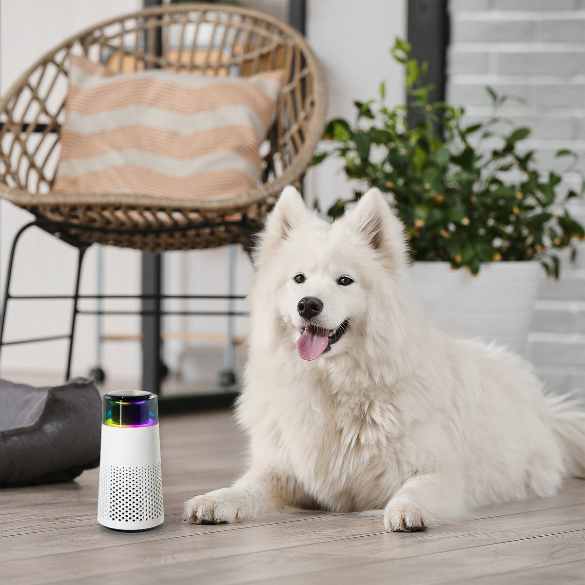 PetFresh dieren geur luchtbevochtiger