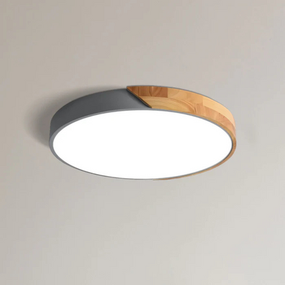 Delos Scandinavische LED-Plafondlamp