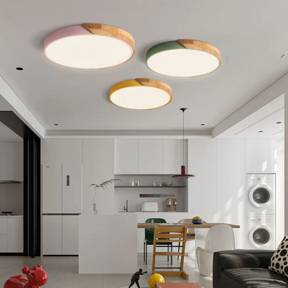 Delos Scandinavische LED-Plafondlamp