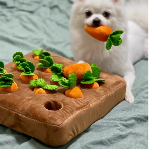 PlayPET wortel pluche hondenspeelgoed