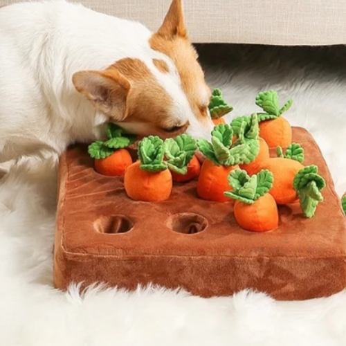PlayPET wortel pluche hondenspeelgoed