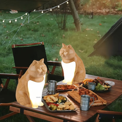LumiCat draadloos katten nachtlampje