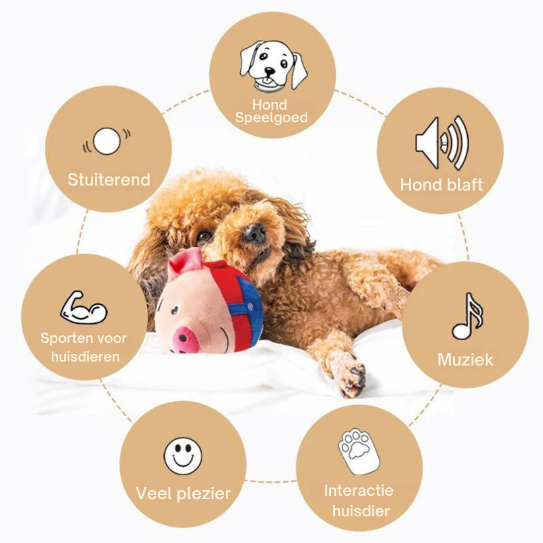 PupPlay interactief hondenspeeltje