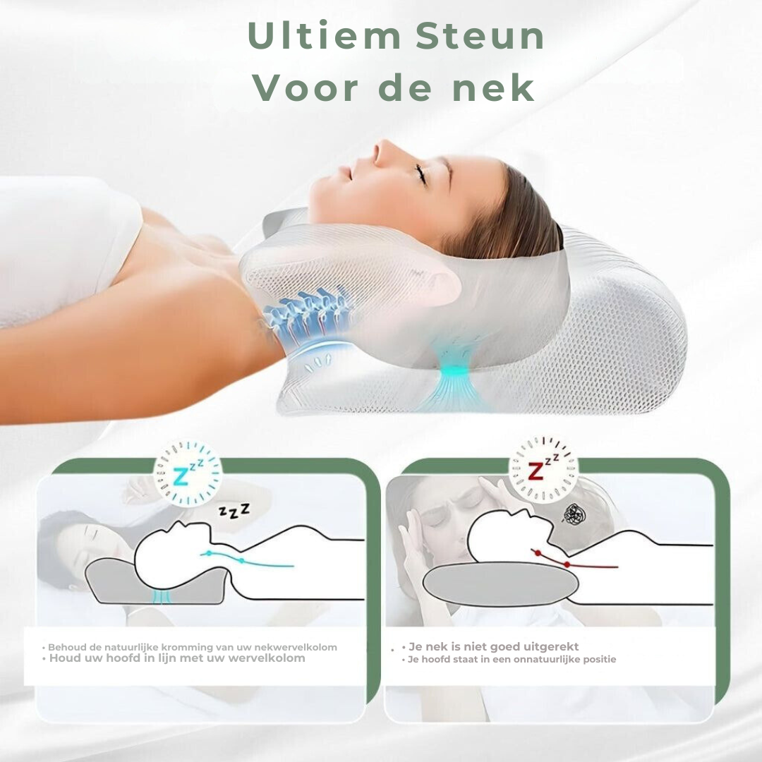 DreamAlign orthopedisch kussen