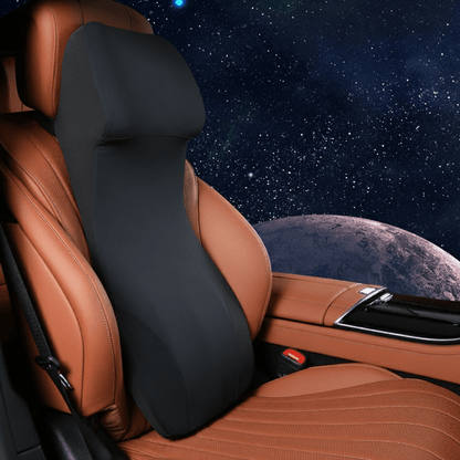 ERGOCARVE ergonomische auto nek- en lendensteun
