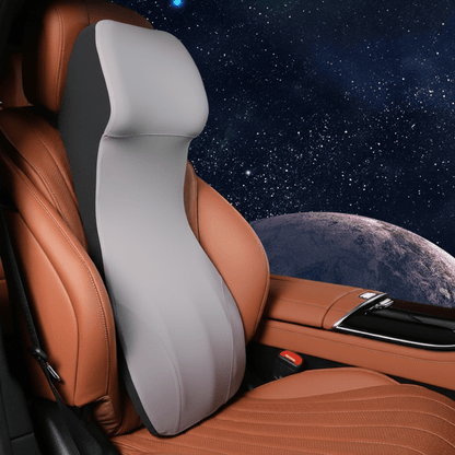 ERGOCARVE ergonomische auto nek- en lendensteun