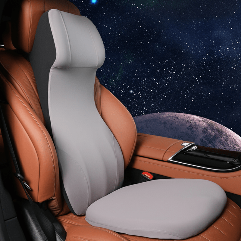 ERGOCARVE ergonomische auto nek- en lendensteun