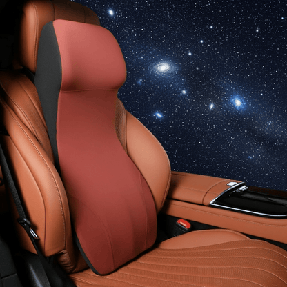 ERGOCARVE ergonomische auto nek- en lendensteun