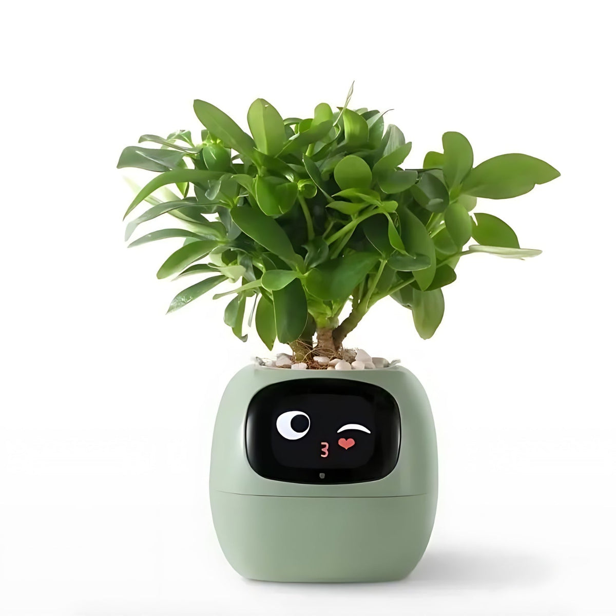 GreenBuddy SmartPot automatische slimme bloempot
