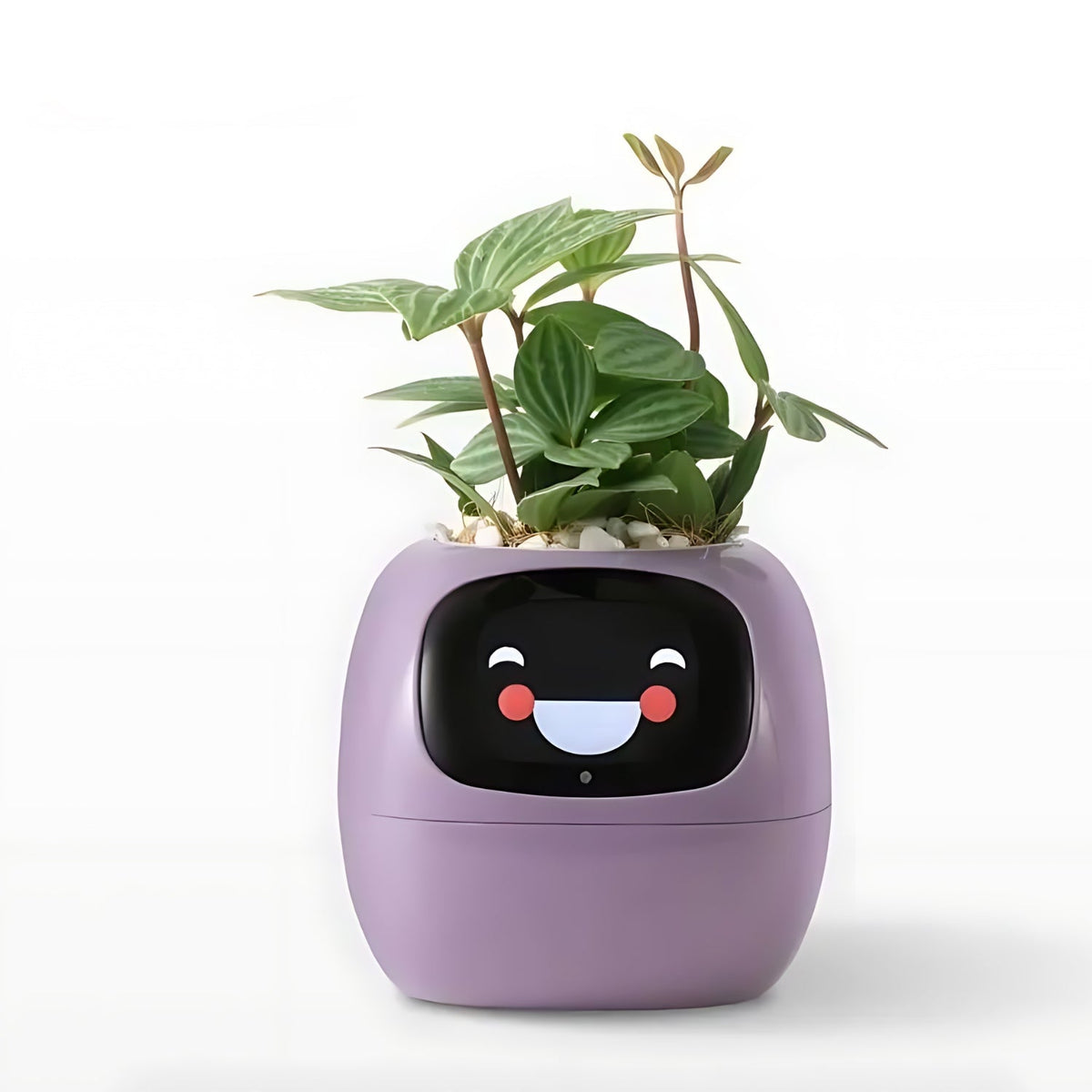 GreenBuddy SmartPot automatische slimme bloempot