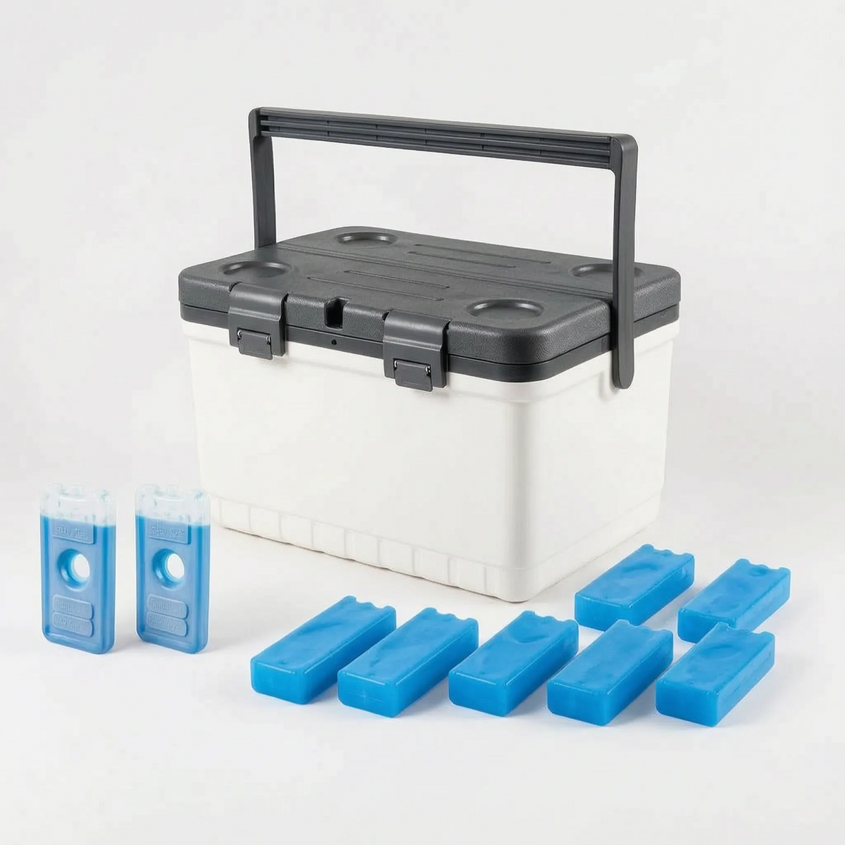 Compacte draagbare koelbox