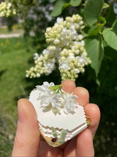 Navando mini bloemenpers in zakformaat