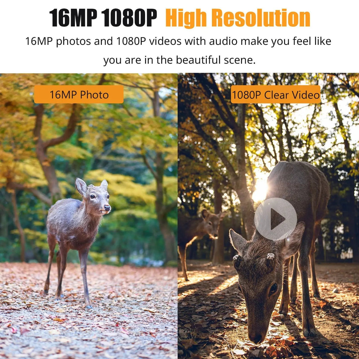 Navando 1080P Full HD wildcamera
