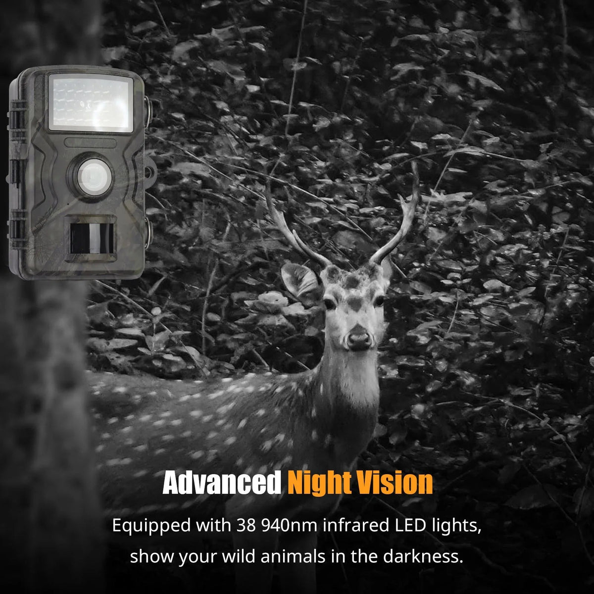 Navando 1080P Full HD wildcamera