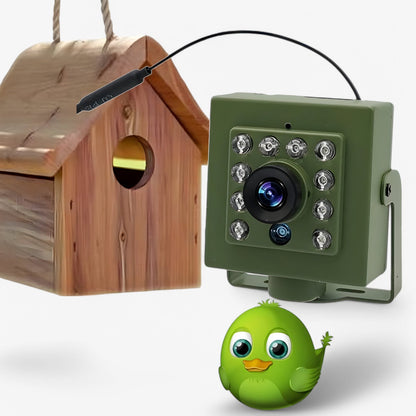 Draadloze compacte wifi vogelhuiscamera